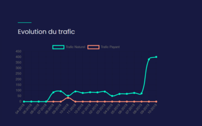 La puissance du référencement Naturel pour les petites entreprises